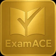 ExamACE - Uncategorized Launched logo