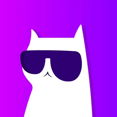 Stunning - Marketing Launched logo