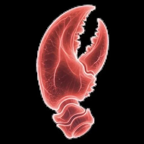 Claw Headquarters - Uncategorized Launched logo