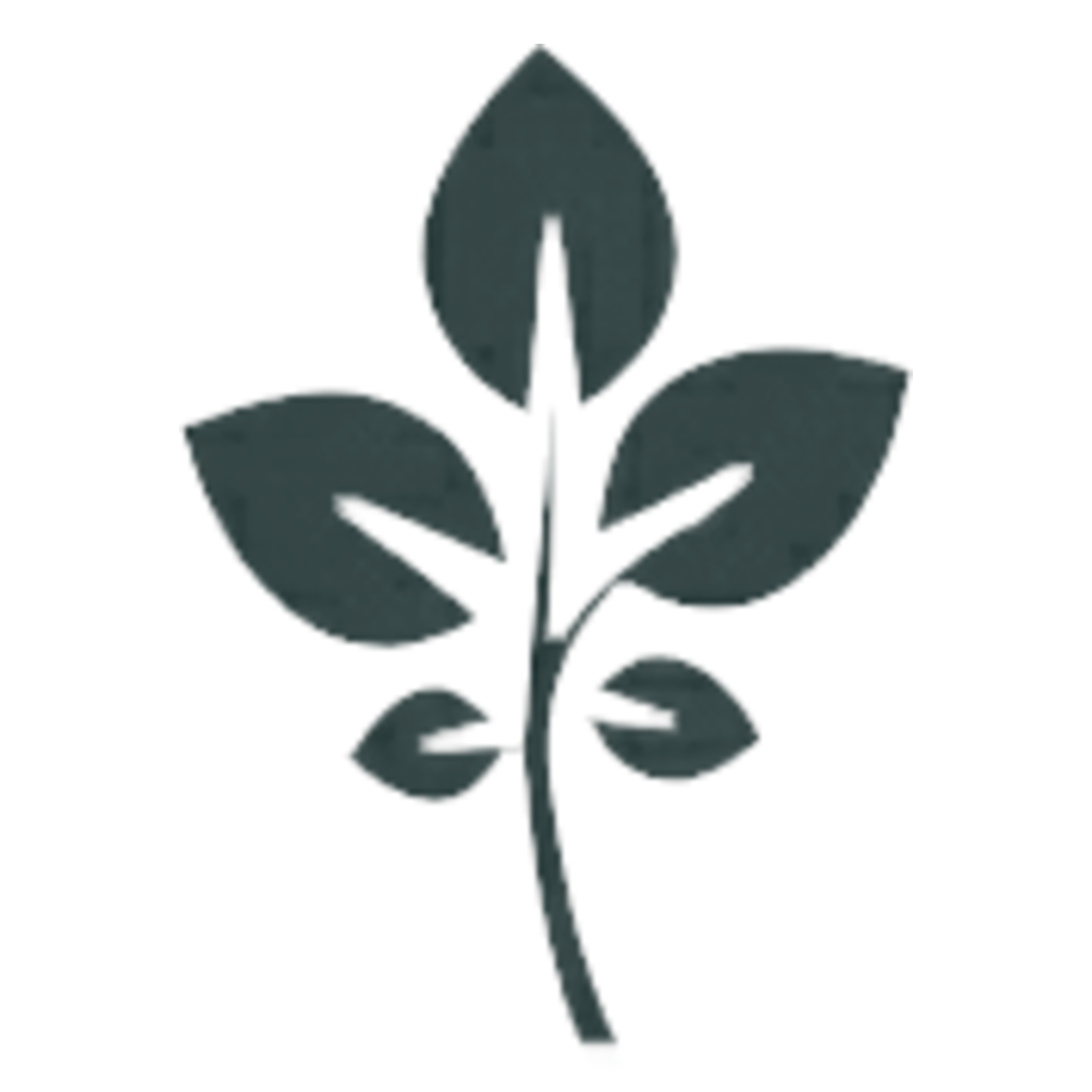 GrapeVine Social - Other Launched logo